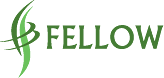 FELLOW